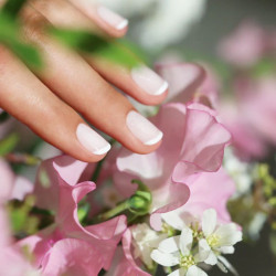 Green Flash - Milky White - MANUCURIST