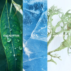 Parfum Ice Boréal 50 ml - FIILIT