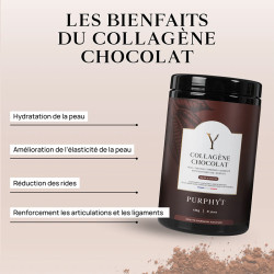 Collagène Marin Chocolat - PURPHYT